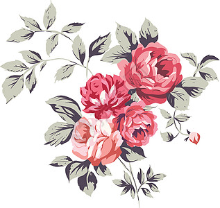粉红玫瑰水彩装饰品纺织品邀请函插图艺术蕾丝卡片古董织物图片