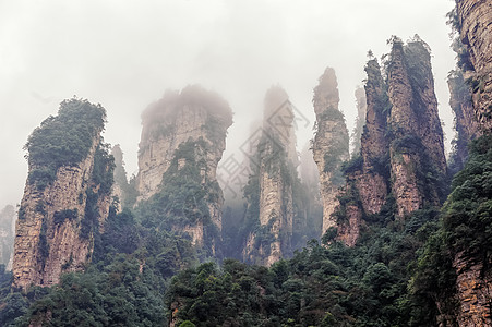 张家姬悬崖风景绿色森林旅行顶峰国家远足世界柱子图片