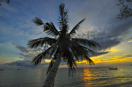 热带沙滩日落 锡亚湾 高昌岛特拉特省图片