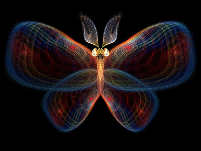 走向数字蝴蝶森林几何学宏观数学野生动物昆虫学奉承航班眼睛设计图片