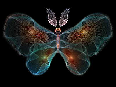 数字蝴蝶数学动物昆虫学翅膀奉承生物学元素科学花园渲染图片