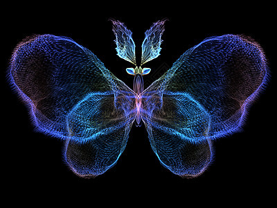 分形蝴蝶传播翅膀装饰品几何动物触角创造力昆虫元素奉承图片