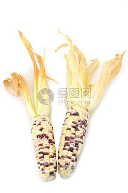 孤立的甜甜玉米内核植物金子文化宏观食物饮食叶子农业主食图片