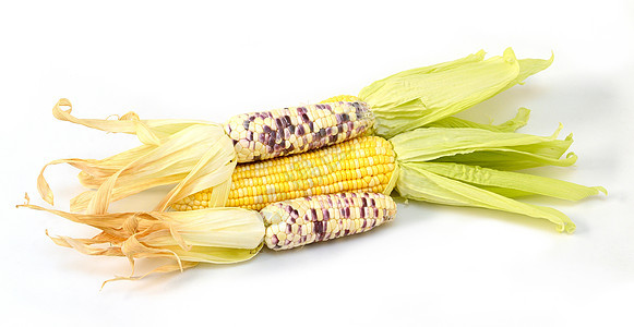孤立的甜甜玉米粮食植物健康内核蔬菜主食饮食文化宏观叶子图片