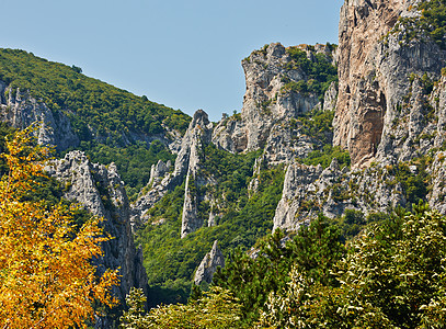 落岩山风景石头绿色岩石森林图片