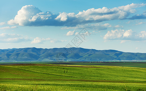 云多的春季风景农业多云绿色场地小麦地平线农村图片