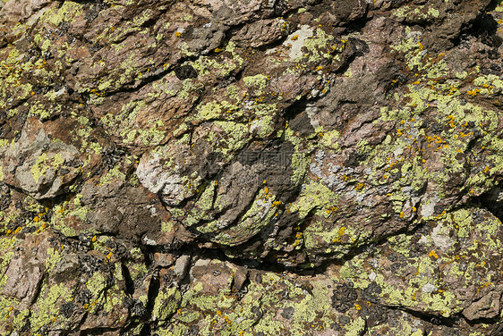 石头背景地质学地球地衣岩石图片