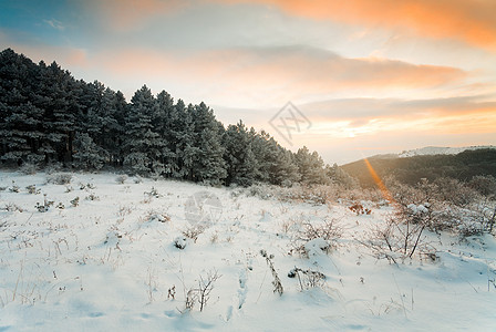 冬山日落天空风景森林场地场景风格雪花白色木头装饰图片