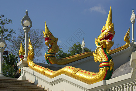 苏米龙泰国克拉比镇寺庙叶子天空宝塔地标游客宗教蓝色旅行金子公园背景