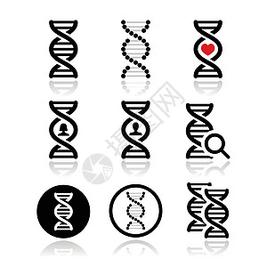 DNA 基因矢量图标集图片