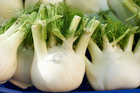 芬内农业茴香蔬菜销售食物农民市场图片