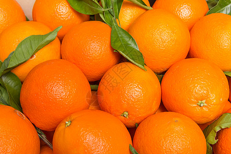 新鲜收集的酸性黄橘子茶点食物农业果汁盒子团体饮食宏观叶子水果图片