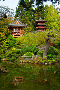 日本茶园旅游结构中心场景宝塔风景建筑目的地文化公园图片