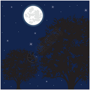 月夜和树木图片