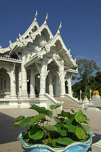 泰国克拉比镇寺庙金子橙子游客旅游天空建筑学公园地标入口宗教图片