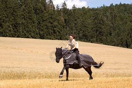 保护马匹免受昆虫侵袭的圈鬃毛速度爱好阳光跑步衣服力量女性场景收成图片