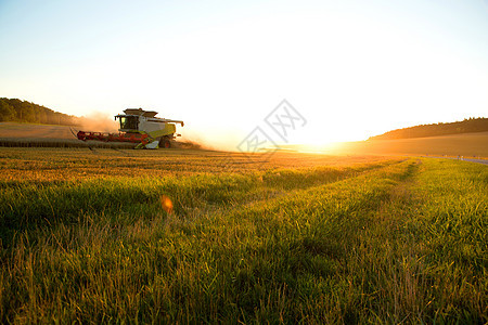日落时收割小麦面包车辆农村粮食工作机器农业谷物收获图片