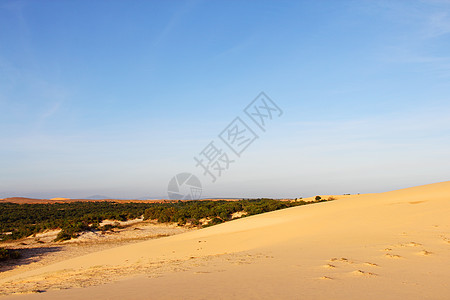 沙漠中的绿洲旅行旅游地平线沙丘蓝色地区荒野冒险灰尘植物图片