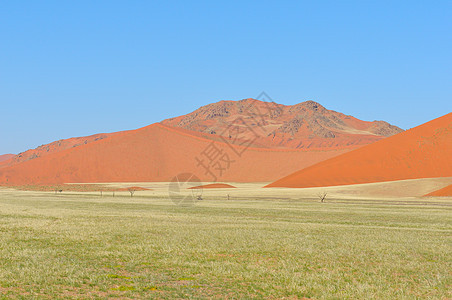 纳米比亚Sossusvlei附近草地和沙丘景观纳米布干旱孤独橙子风景荒野沙漠漫滩图片