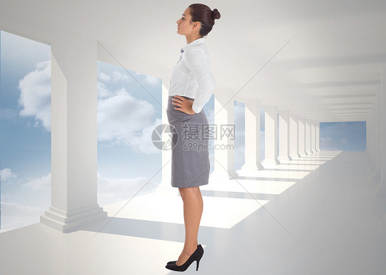 重点突出的女商务人士综合形象职业专注窗户商业人士计算机绘图棕色房间女士图片