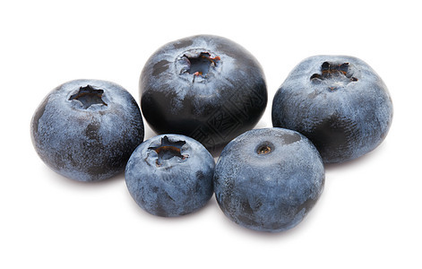 蓝莓黑色紫色白色浆果植物靛青水果覆盆子营养蓝色图片