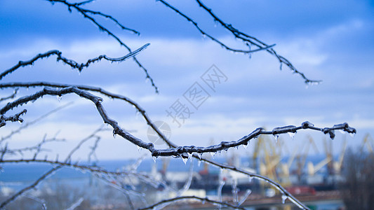 冷冻的树木故事旅行大路场地季节天空宏观车道场景暴风雪图片