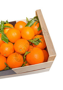 白底的紫橙木盒 白底果汁包装市场水果农业盒子茶点宏观饮食叶子图片