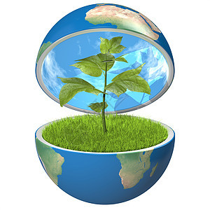行星内植物生物世界全球插图环境绿色生态蓝色生长叶子图片