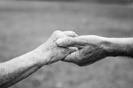 手握手的老年夫妇夫妻双手伴侣团结退休皱纹女士情感帮助浪漫背景图片