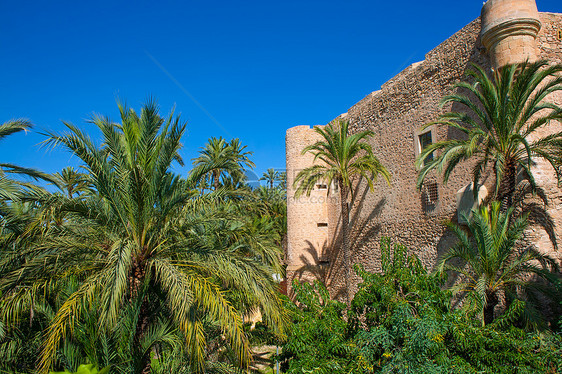 棕榈树公园和阿尔塔米拉帕拉旅游蓝色天空天堂花园园艺热带精灵假期树干图片