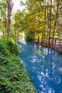 巴伦西亚河湖蓝色花园公园农村植物荒野野生动物场地池塘植物学图片