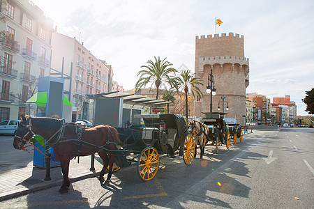 西班牙的塔历史城市马匹观光入口地标旅行游客旅游动物图片