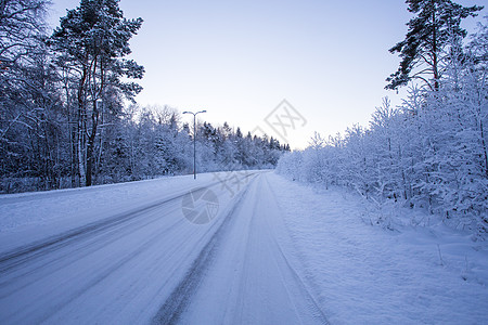 冬季夜晚森林 道路上布满雪雨天气公园季节花园美丽横线雪花天空荒野木头图片