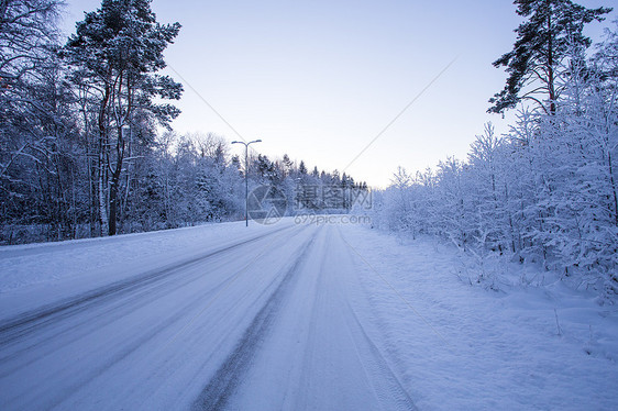 冬季夜晚森林 道路上布满雪雨天气公园季节花园美丽横线雪花天空荒野木头图片