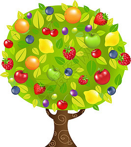 果果树甜点热带树干浆果食物覆盆子活力季节柠檬插图图片