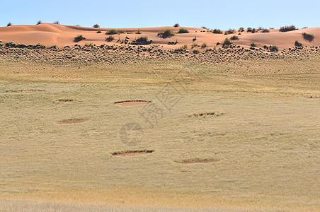塞斯里姆附近的仙子圈风景干旱纳米布橙子沙丘沙漠孤独荒野图片