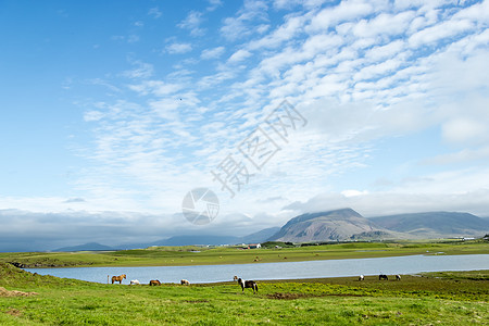 美丽的湖在山地背景之下 冰岛 夏天好国家旅行村庄场景天空晴天旅游场地草原太阳图片