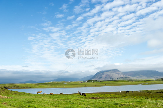 美丽的湖在山地背景之下 冰岛 夏天好国家旅行村庄场景天空晴天旅游场地草原太阳图片