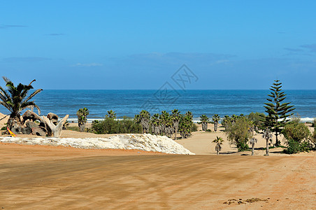 汉斯湾海滩前线风景图片