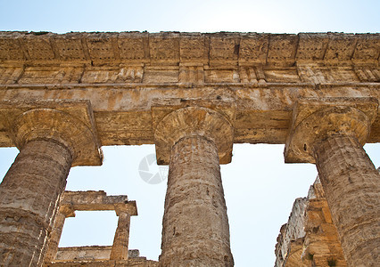 帕埃斯图姆神庙意大利世界帝国晴天地区文化地标寺庙废墟柱子宗教图片