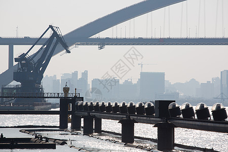 悉尼海港大桥黄蜂桥和上海港上空的大桥的景象背景