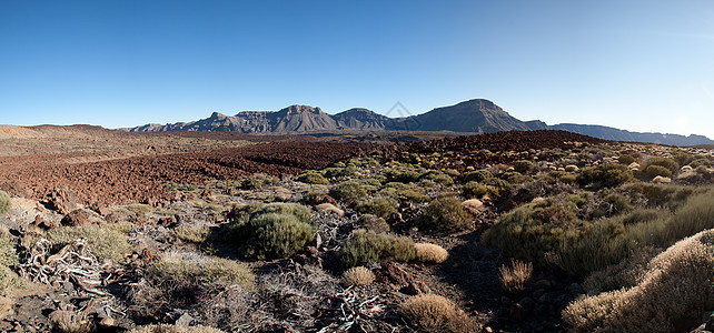 迭代 特内里夫公园风景旅游假期景观沙漠火山旅行地方山峰图片