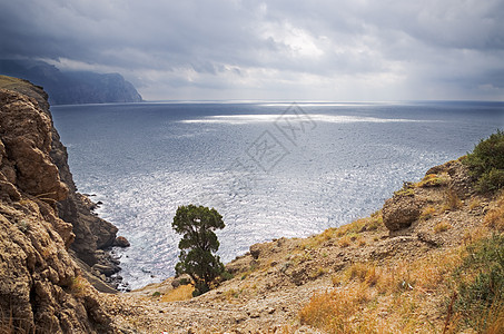 山岳和山山海环境爬坡旅行海岸天空植物森林海洋全景地平线图片