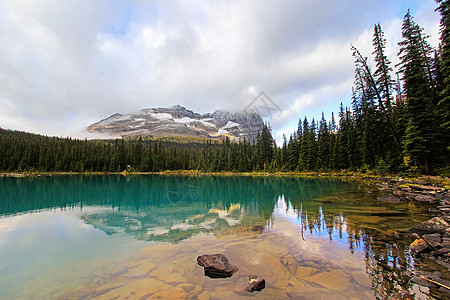 加拿大不列颠哥伦比亚省约霍国家公园奥哈拉湖荒野高原高山蓝色公园冰川风景天空国家森林图片