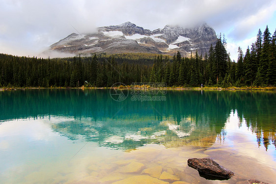 加拿大不列颠哥伦比亚省约霍国家公园奥哈拉湖天空冰川蓝色反射荒野公园树木高原风景高山图片