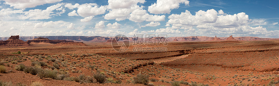 神谷尖塔植被岩石台面众神沙漠图片