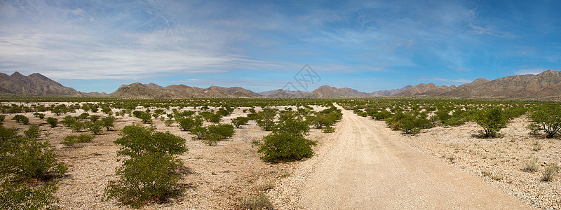 Kaokoland沙漠路爬坡地平线孤独环境旅行全景荒野晴天干旱岩石图片