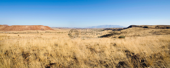 纳米比亚的荒野全景草地爬坡天空环境干旱纳米布沙丘生态蓝色图片