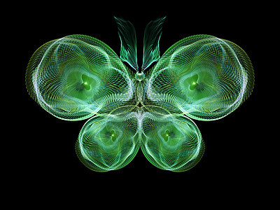 蝴蝶概念数学野生动物元素昆虫学花园想像力生物学漏洞创造力宏观图片
