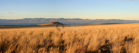帕塔哥尼亚的景观晴天荒野乡村天空农村环境阳光牧场农场草地图片